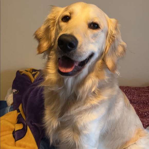 Meet your Posher, David - Picture 1 of 1